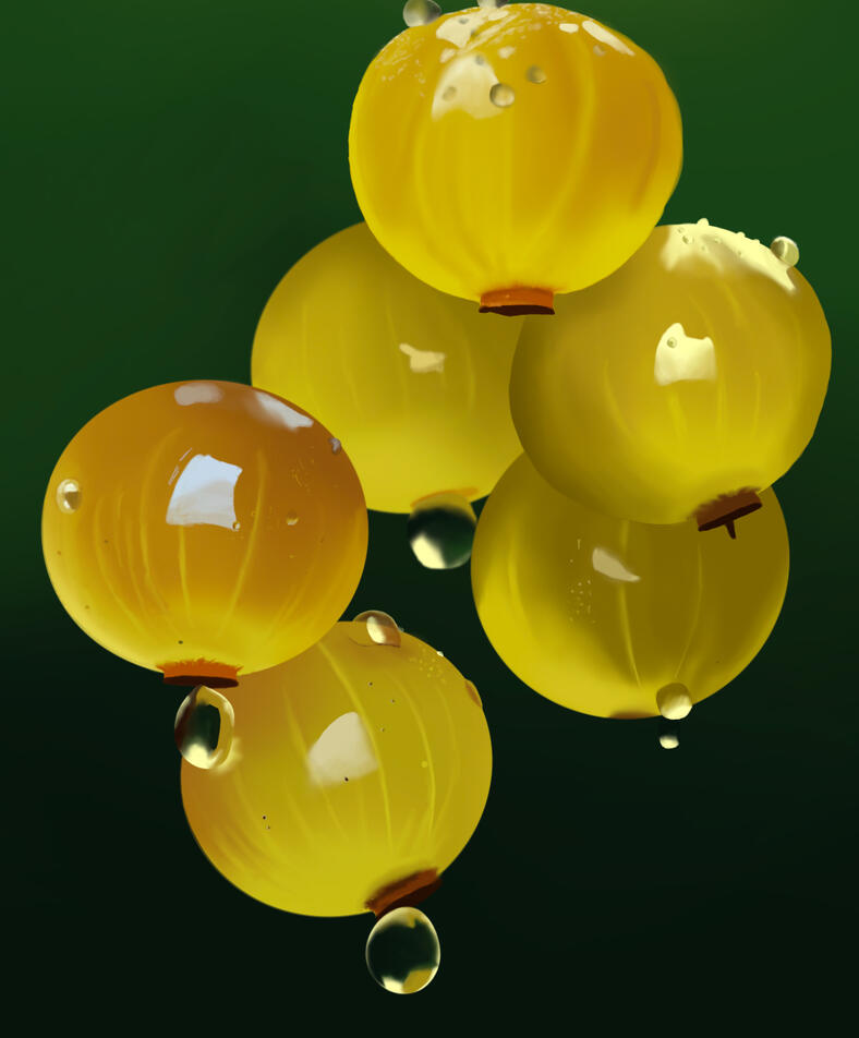 Yellow Berries (2024)