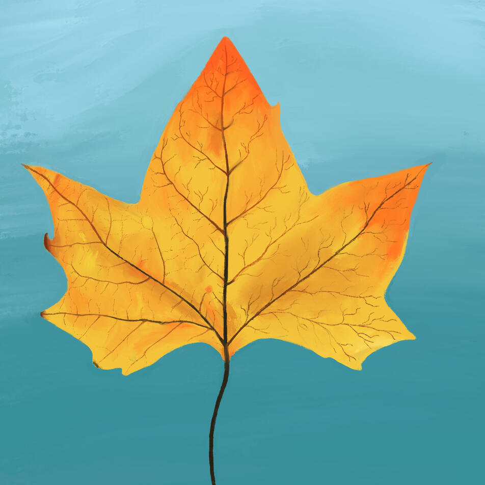 Autumn Leaf (2024)