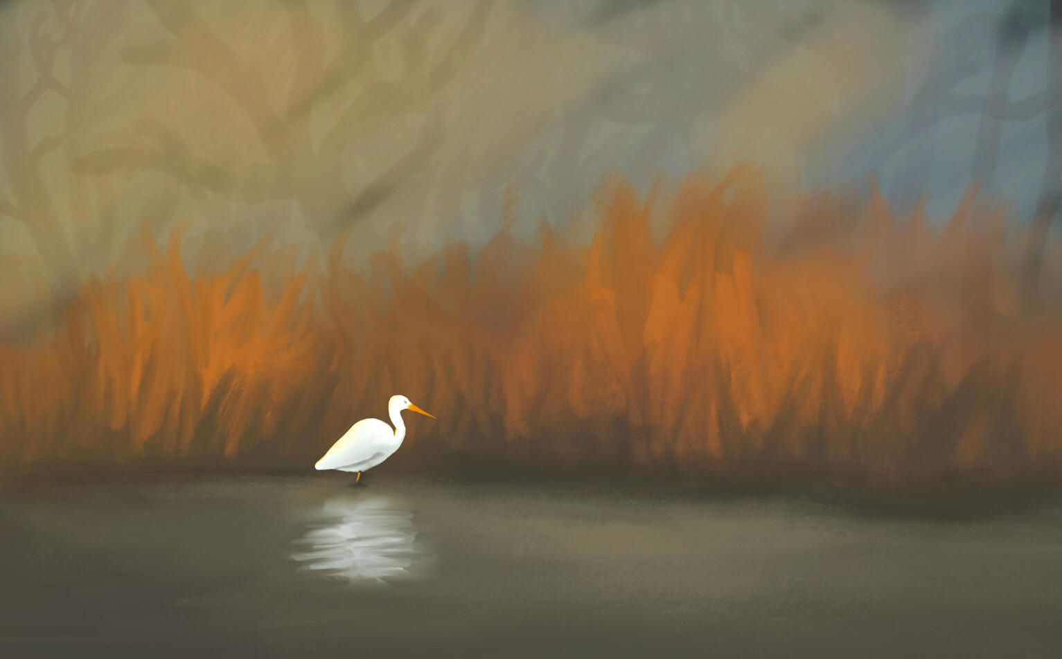 Bird in Fall (2024)