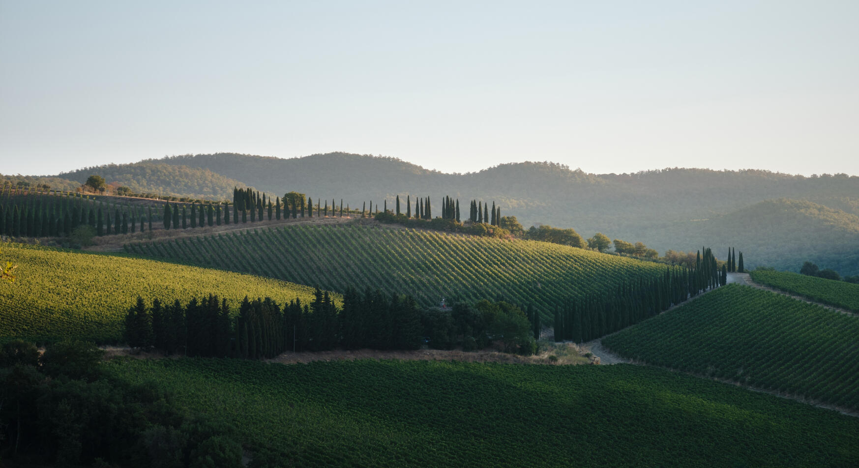 Toscana (Italy)